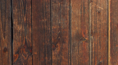 Dark brown board. Background texture of an old treeの写真素材