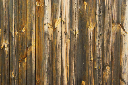 Dark brown board. Background texture of an old treeの写真素材