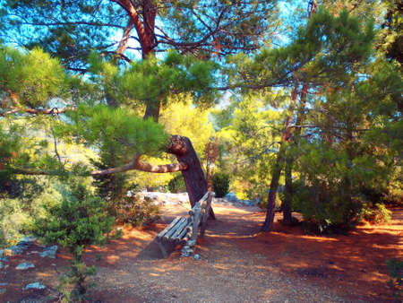   place for rest on islandの写真素材