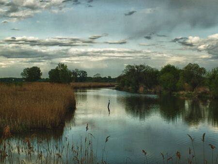 Clouds and wild