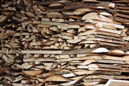Much woodsの写真素材