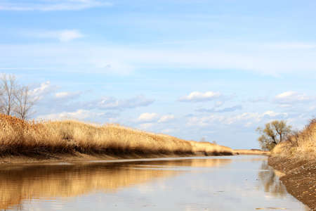 View at riverの写真素材