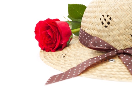 The Ladyの写真素材