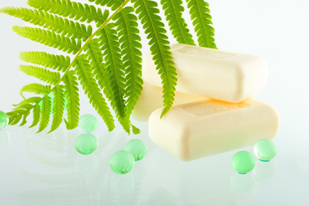 The soap bars on the greenish background decorated with fern leafの写真素材