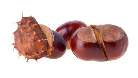 Three Horse Chestnut fruit, Isolated on Whiteの写真素材
