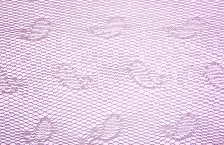 Background from the Lilac FabricMade like a Net