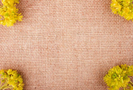 Bright Yellow Flowers on the Burlap background Placed in the Cornersの写真素材