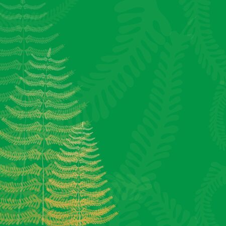 Floral Background with Fern Fronds and Free Spaceのイラスト素材