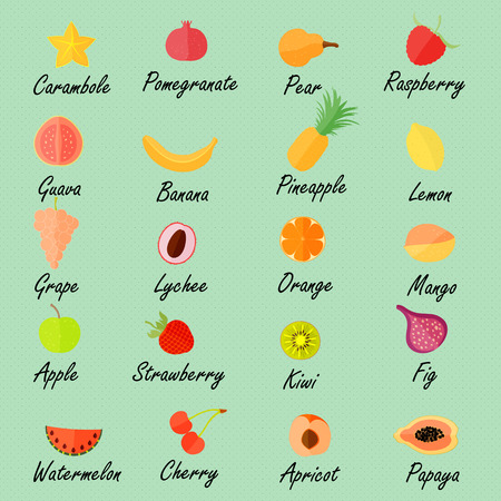 Various Fruits with the Namesのイラスト素材