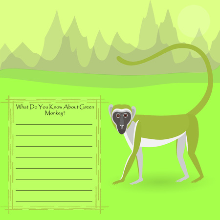 African Green Monkeyのイラスト素材