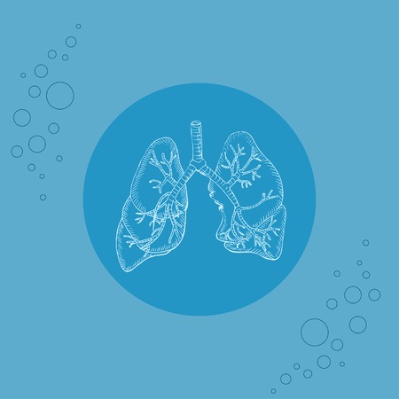 White human lungs and bronchi on substrate illustration.のイラスト素材