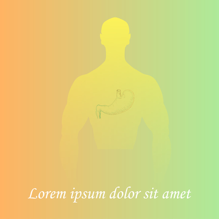 Human Stomach in Man Silhouetteのイラスト素材
