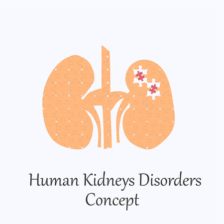 Human Kidneys Filled with Puzzle Pattern Few of Whitch Unfit to the Whole. Conceptual Image of Human Kidneys Disorders in its Initial Stage.のイラスト素材