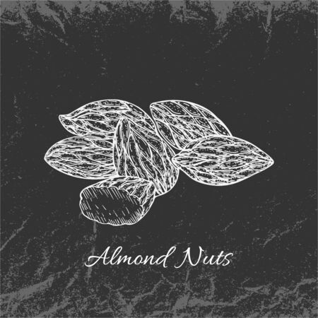 Hand Drawn Chalk White Vintage Handful of Almond Nuts Placed on Dark Backdrop with Texture. Textured Backdrop Made of Crumpled Packaging Paper. Vector Illustration EPS 10.のイラスト素材