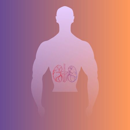 Hand Drawn Human Kidneys Placed into Man Silhouette