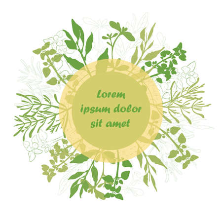 Hand Drawn Culinary Herbals Arranged around Circle in the Center. Thyme, Oregano, Rosemary and Laurel Made as Filled Shapes and Contoure Drawing. Composition for Emblem, Label, Product Design.のイラスト素材