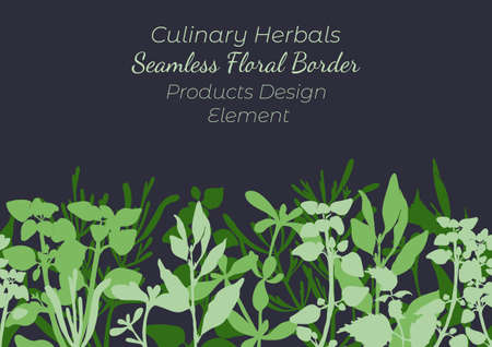 Seamless Border Made with Hand Drawn Culinary Herbals Arranged Horizontally. Thyme, Oregano, Rosemary and Laurel Made as Filled Shapes. Vector decoration or Product Design Element.のイラスト素材