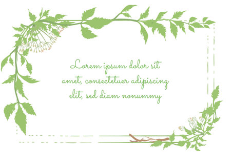 Squarish Frame Decorated byDong Quai Plant Garland and Brush Strokes. Multicolored Desert Marigold Flower for Magazine, Recipe book, Poster, Cards, Menu cover etc.のイラスト素材