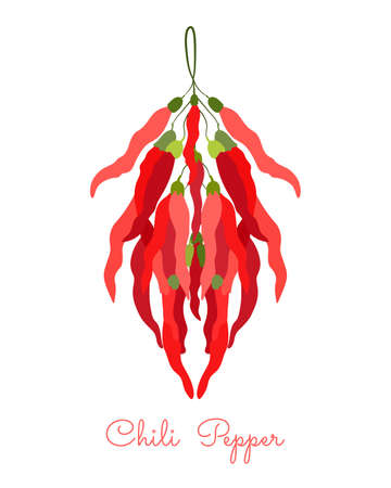 Bunch of Chili Pepper hanging on the rope. Flat style vector illustration. Symmetrical shape with shadowのイラスト素材