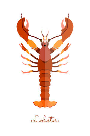 One Isolated Lobster made in flat style. Colored Lobster without outlines, with geometrical shadows. Fresh crustacean, product, healthy protein seafood.のイラスト素材