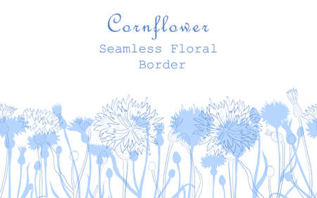 Seamless Border Made with Hand Drawn Centaurea cyanus Arranged Horizontally. Cornflower stems, flowers, buds, leaves made of contour and silhouettes. Composition for Any Designs, Advertising etc.のイラスト素材
