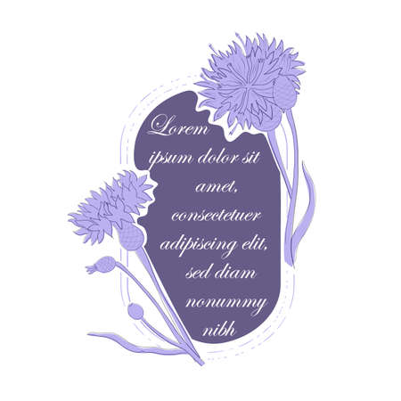 Vintage Frame with an Centaurea cyanus Flowersのイラスト素材