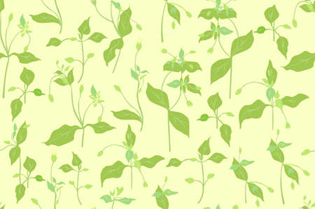 Seamless Pattern with a Green Chickweed Partsのイラスト素材