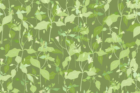 Seamless Pattern with a Green Chickweed Partsのイラスト素材