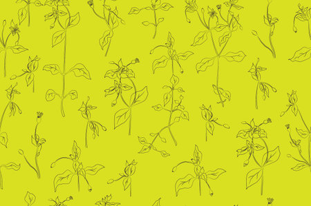 Seamless Pattern with Stellaria media Flower Partsのイラスト素材