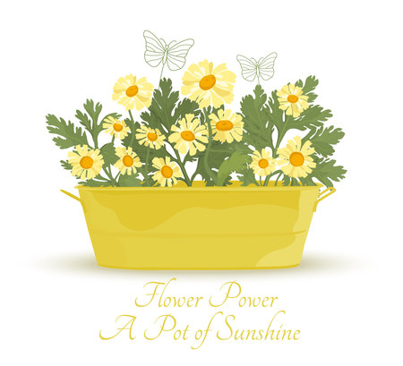 Colorful and lively composition with the flowersのイラスト素材