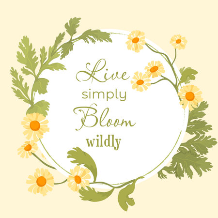 Floral vector card or poster with Feverfew herb parts arranged as a semicircle. White circle shape with a lined frame on the colored background. Vector garden illustration, poster, card, etc.のイラスト素材