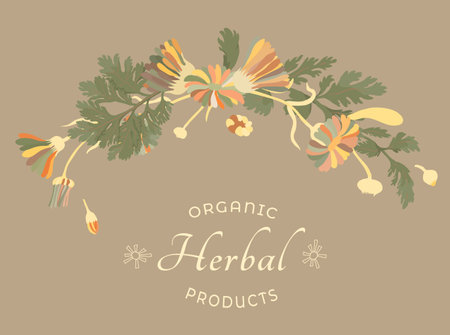 Vector illustrations for floral or herbal productsのイラスト素材
