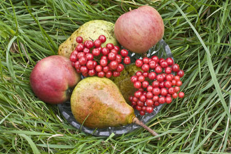 fruitsの写真素材