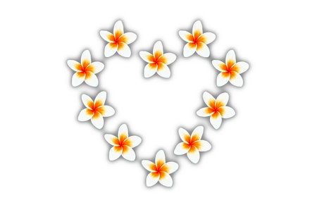 The flower are arranged in love heartの写真素材