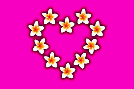 The flower are arranged in love heartの写真素材