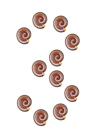 The number three is on the white backgroundの写真素材