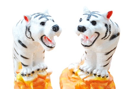The white tiger are on the white backgroundの写真素材