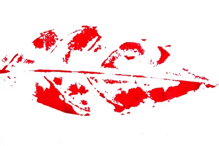 The leaf painting paint on white backgroundの写真素材