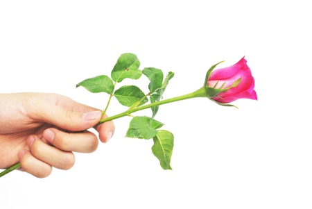 Somebody is giving the rose to someoneの写真素材