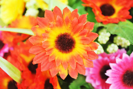 The beautiful flower is in the gardenの写真素材