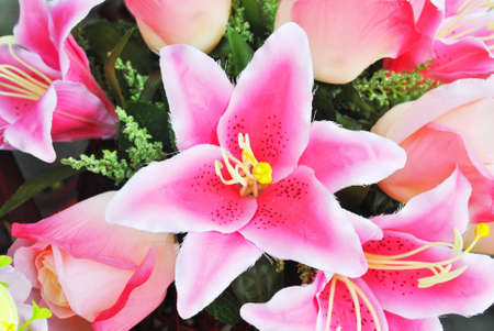 The beautiful flower is in the gardenの写真素材