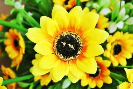 The beautiful flower is in the gardenの写真素材