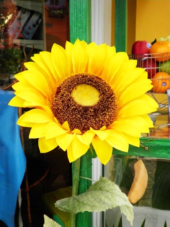 Artificial sun flower is in the big pot          の写真素材