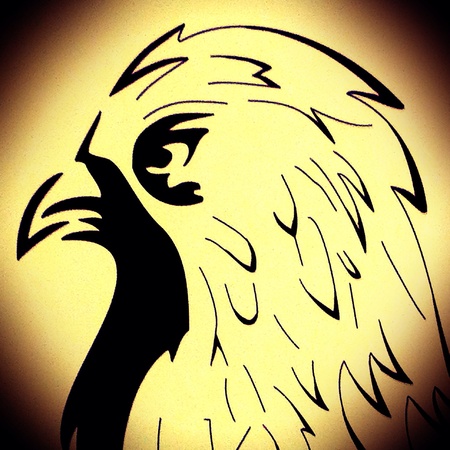 Bird animal paintの素材