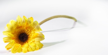 Sunflower Artificialの写真素材