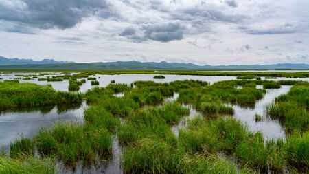 Zoige grassland sceneryの写真素材