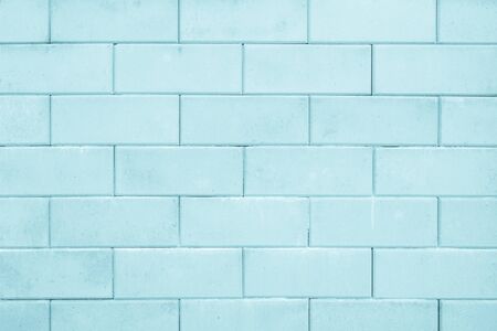 Black and white brick wall texture background / Brick wall textureの写真素材