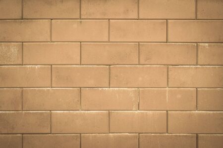 Black and white brick wall texture background / Brick wall textureの写真素材