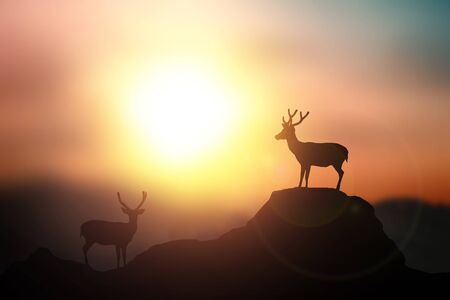 Silhouette in lady rocky cave on the sunset backgroundの写真素材