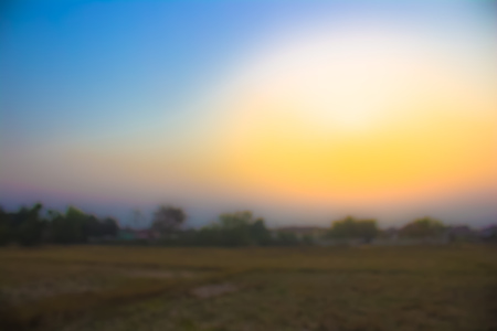 Natural background blurring.warm colors and bright sun light.の写真素材